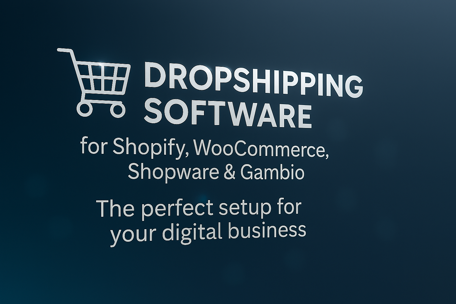 Dropshipping software for shopsystems